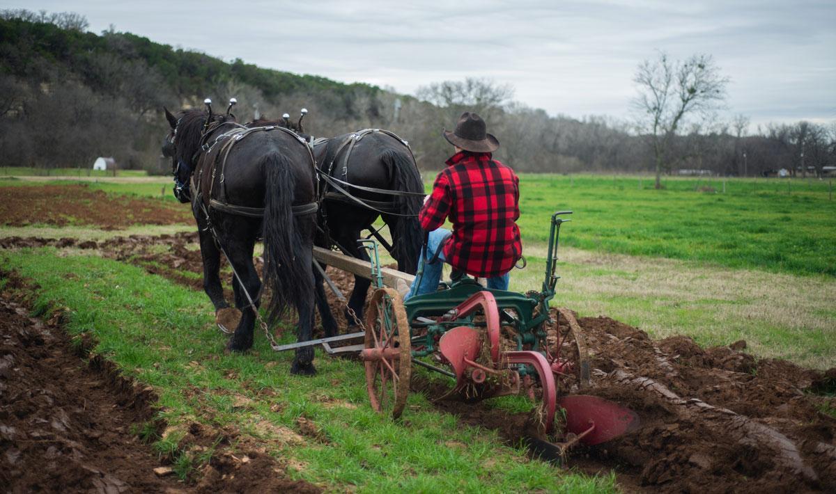Photo of a person in a flannel shirt and cowboy hat sitting on a plow pulled by two black horses through a green field, turning up new soil. Photo by Phinehas Adams via Unsplash.