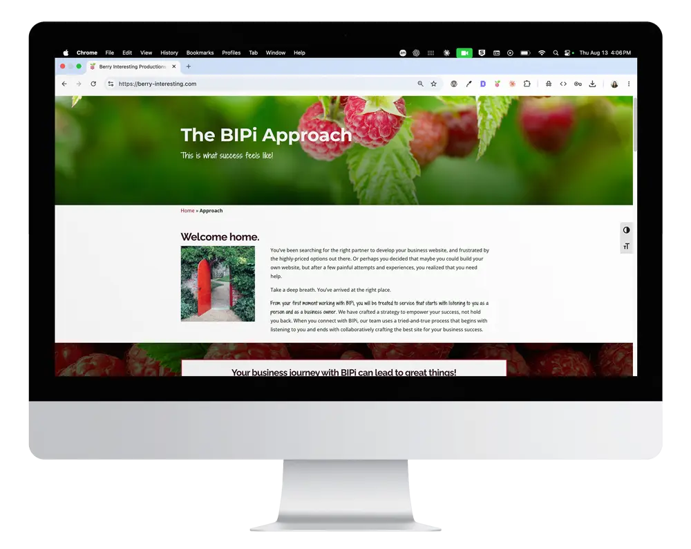 A screenshot of the Alchemy of Soul website, one of BIPi's first projects. 